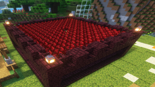 Netherwart Farm